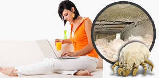 Cleaning Services